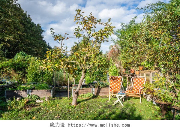蓝天白云下的花园绿植的椅子有苹果树和椅子的园景